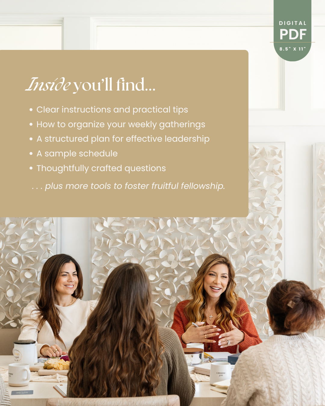 Leader's Guide: Philippians Bible Study